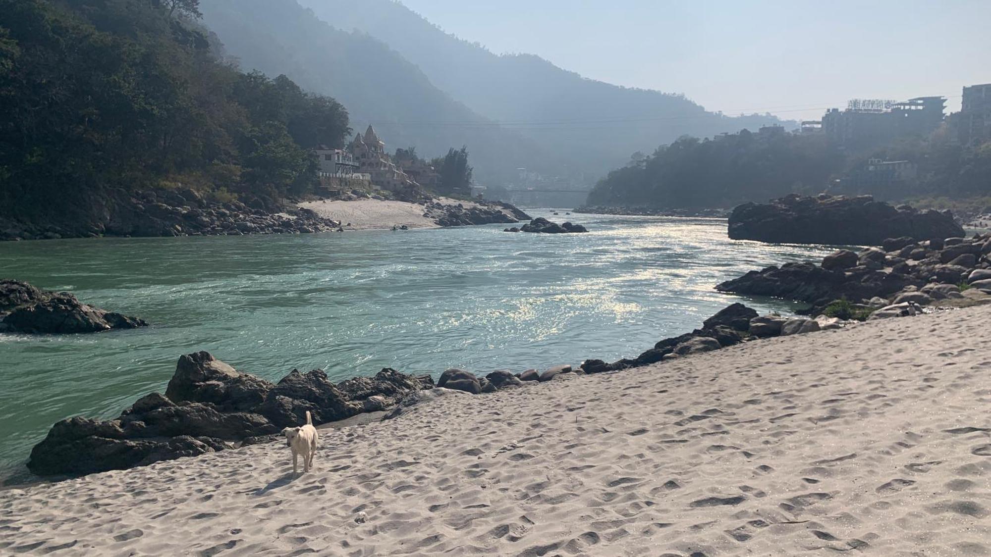 Luxury Aloha Majestic Apartments Rishikesh Exterior photo